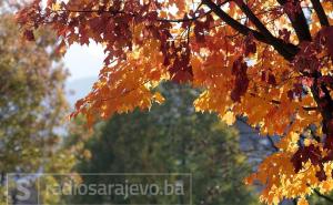 Tek u jesen otkriju se boje krošanja: Sarajevo kroz objektiv fotografa